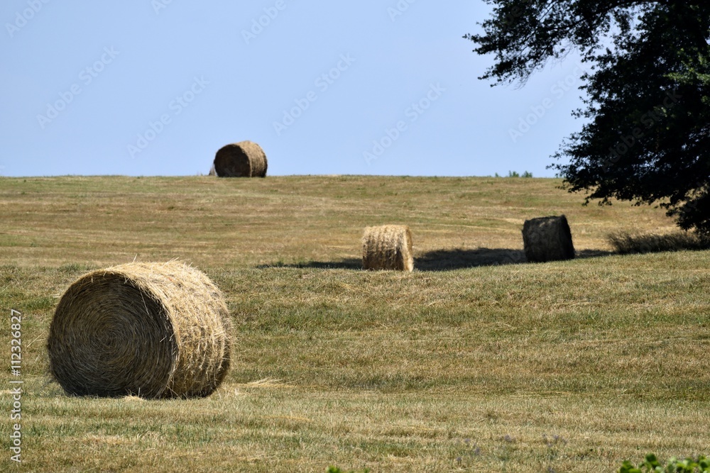 Bales of hay landscape background