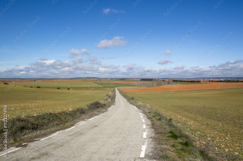 Way through the field Soria