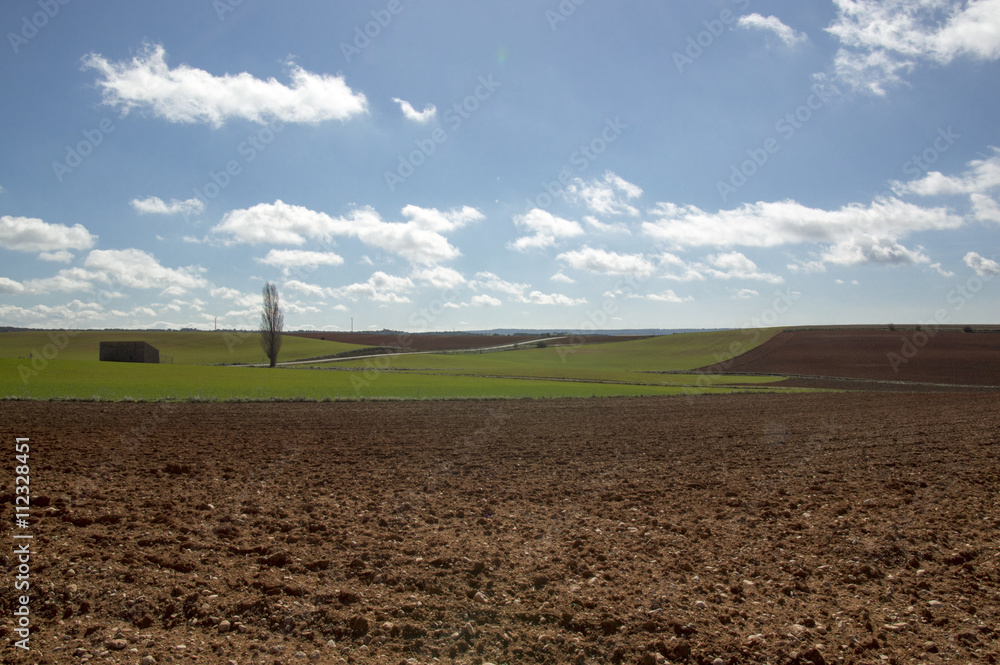 Rural landscape in Soria