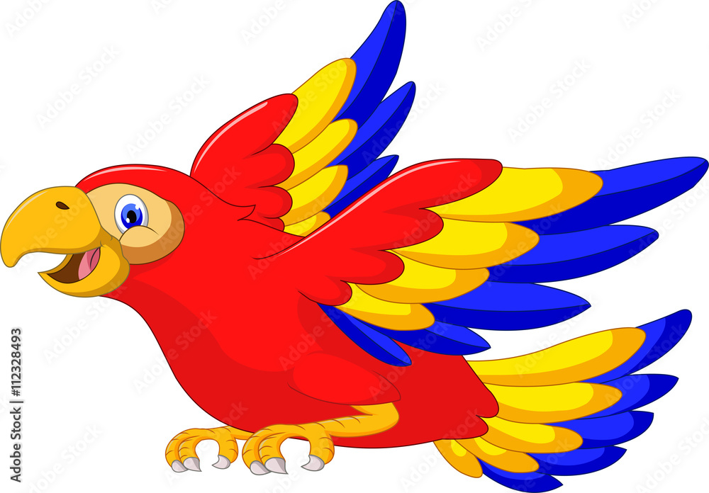 macaw bird cartoon flying