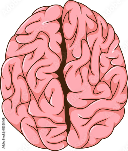 human left and right brain cartoon