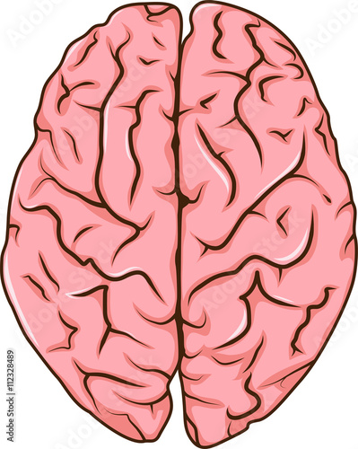 human left and right brain cartoon