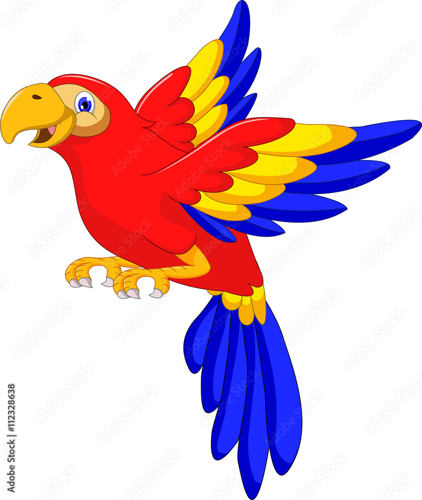 Obraz premium macaw bird cartoon flying