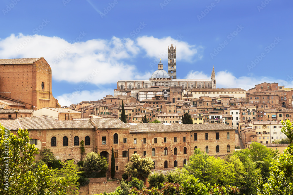 Panoramic view of Sienna city, Italy