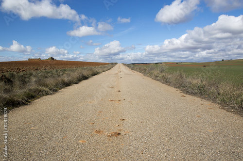 Rural road in the province of Soria