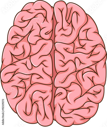 human left and right brain cartoon