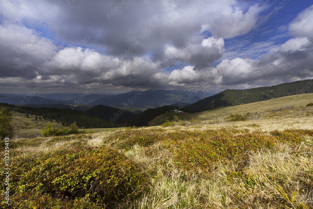 Fototapeta premium Sunlit grass on high mountain's slope