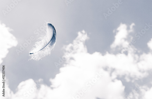 Lone feather in the sky.