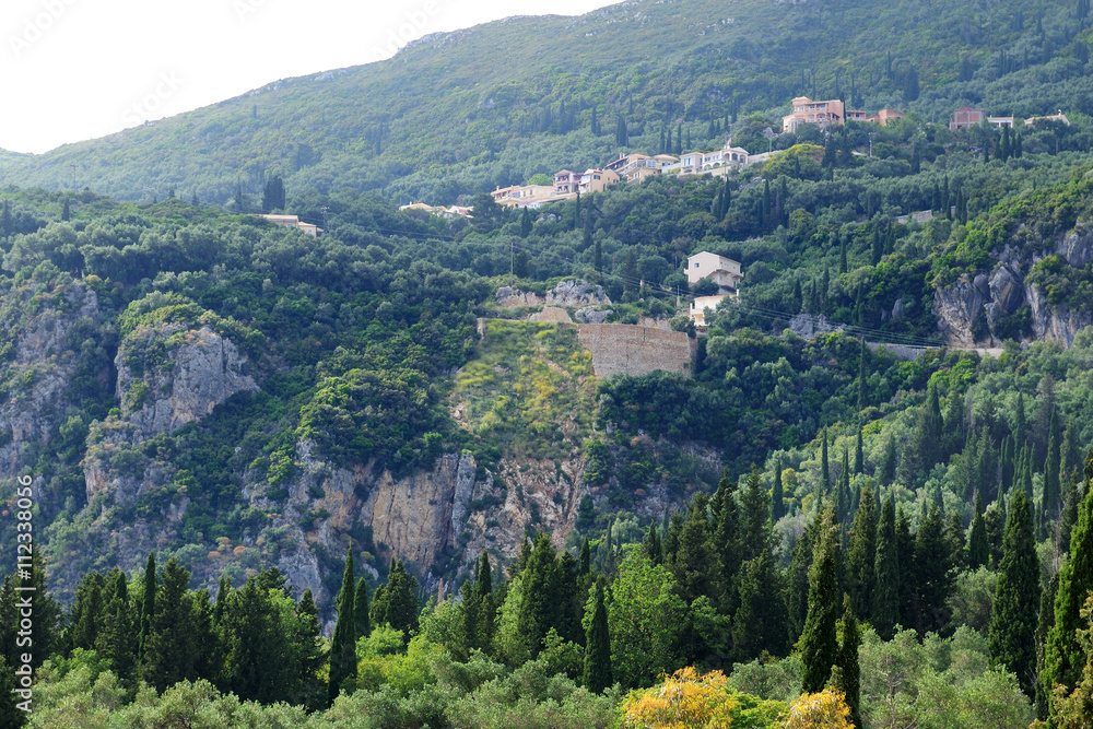 The view on mountains, cypress and olive trees in Corfu island,