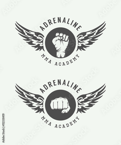 Set of vintage mixed martial arts or fighting club logos, emblem