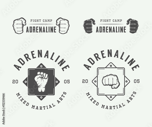 Set of vintage mixed martial arts or fighting club logos, emblem