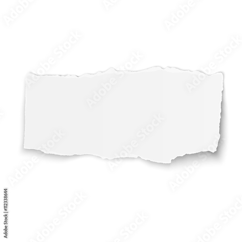 White vector paper tear placed on white background