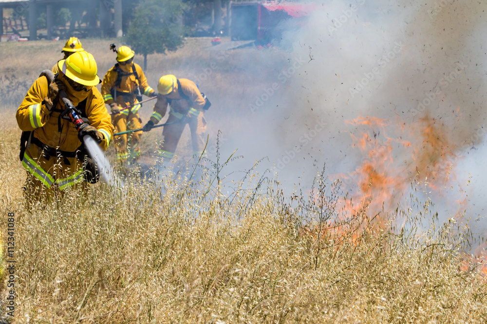 Fototapeta premium Firefighter Fighting Wildland Forest Grass Fire