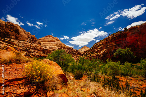 The Hickman Bridge Trail  Capital Reef National Park  Utah  USA