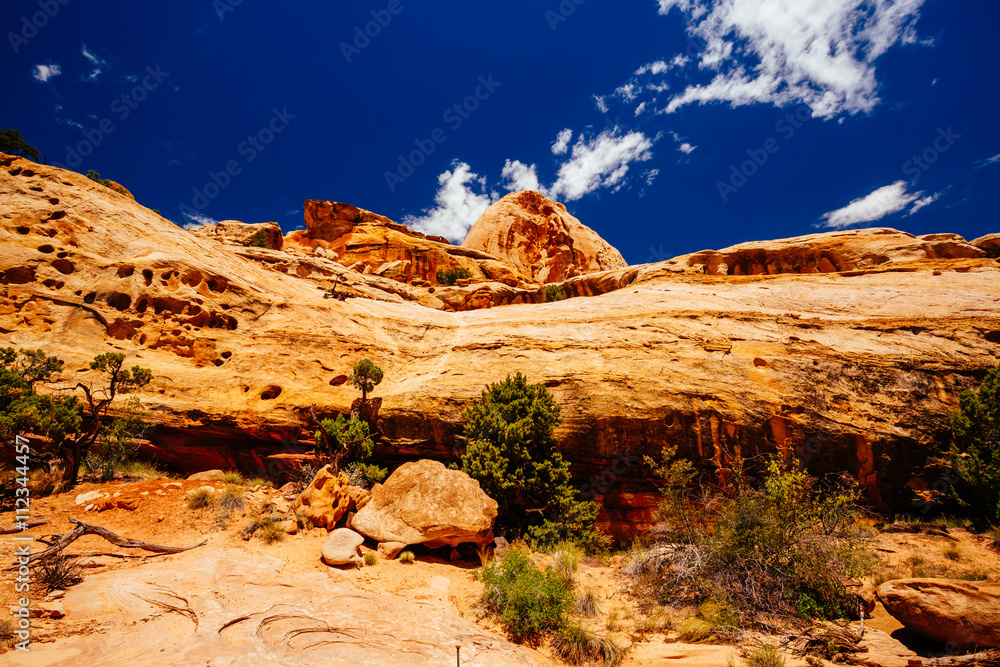 The Hickman Bridge Trail, Capital Reef National Park, Utah, USA The Hickman Bridge Trail, Capital Reef National Park, Utah, USA