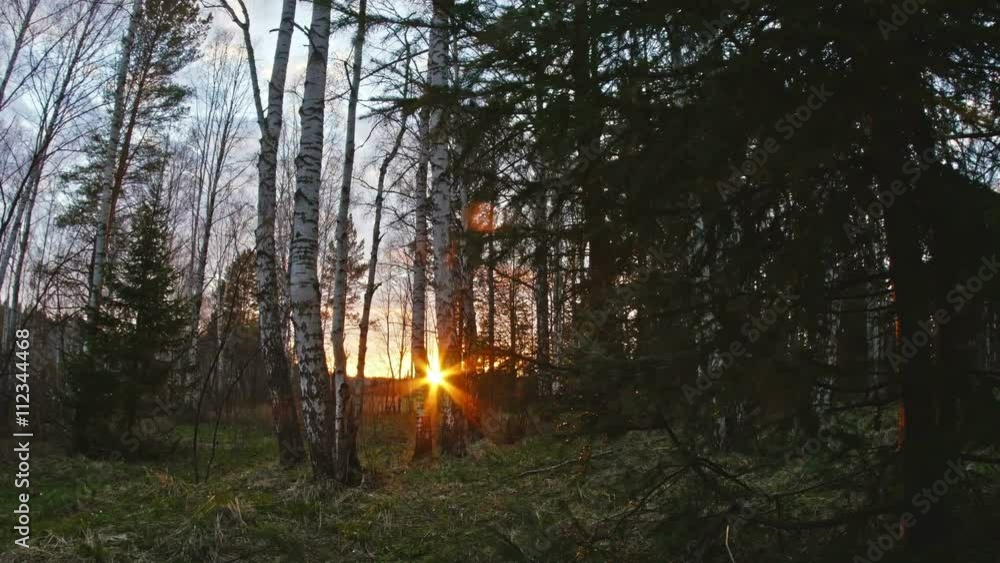 Sun breaking through trees Sun breaking through trees