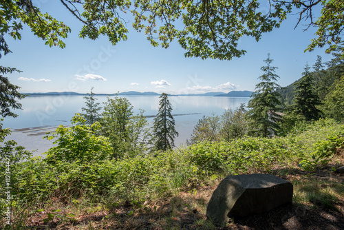 Oyster farn in Puget Sound