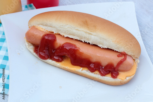 hot dog 02062016