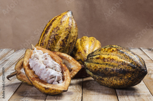 Fruta cacao