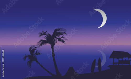 Summer holidays at night scenery silhouette