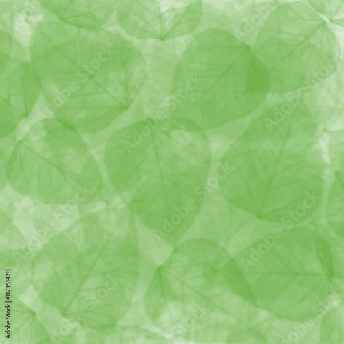 green summer leaves background