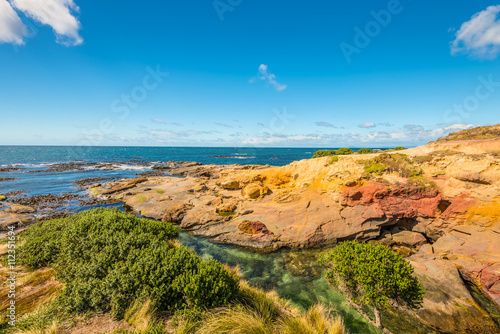 New Zealand colorful coast landscape