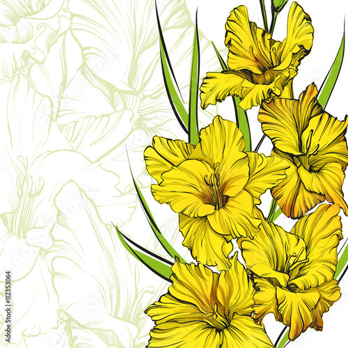floral blooming gladiolus hand drawn vector illustration sketch