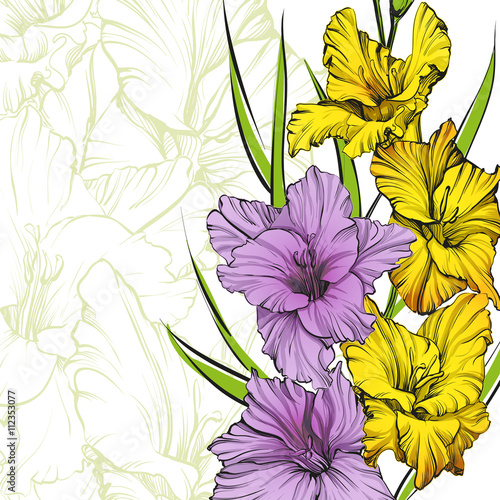 Fototapeta Naklejka Na Ścianę i Meble -  floral blooming gladiolus hand drawn vector illustration sketch