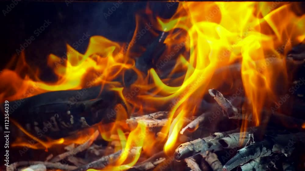 Barbecue fire bonfire wood burning FIRE WOOD barbecue
Barbecue fire bonfire wood burning FIRE WOOD barbecue