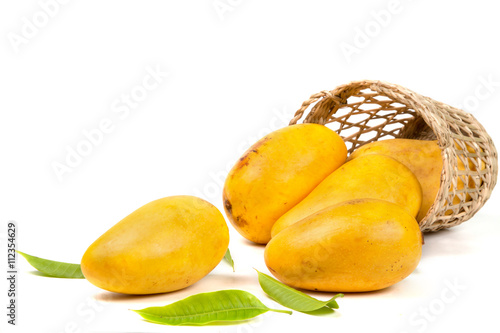 Mangoes in basket with leaves isolated