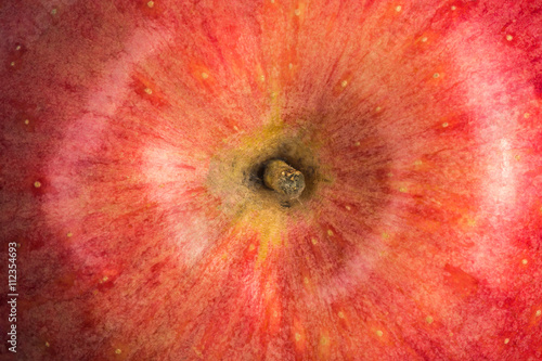 Apple, Apple close up, top view