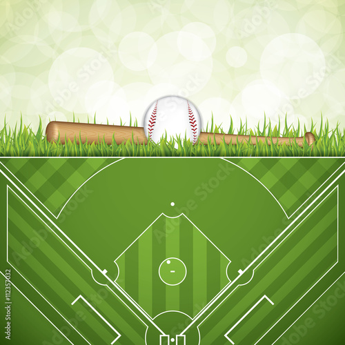 Wallpaper Mural Baseball brochure Torontodigital.ca
