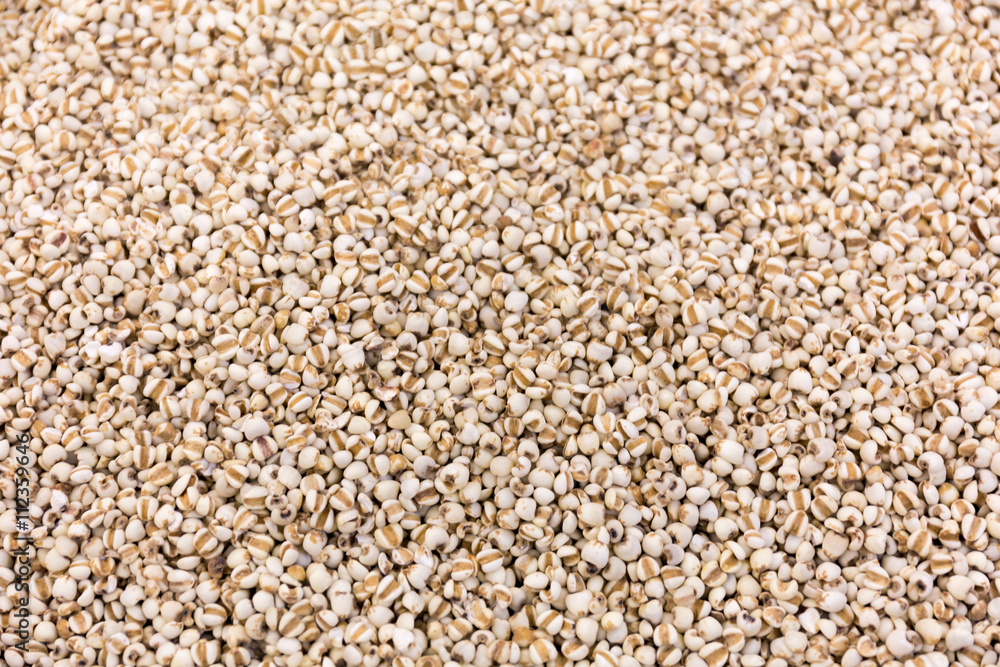 Job's tears, Millet grains, Organic. Job's tears, Millet grains, Organic.