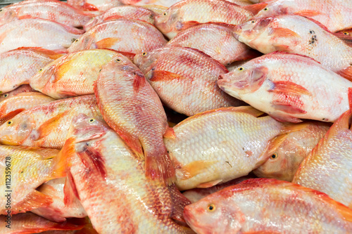 Fresh fish in the market