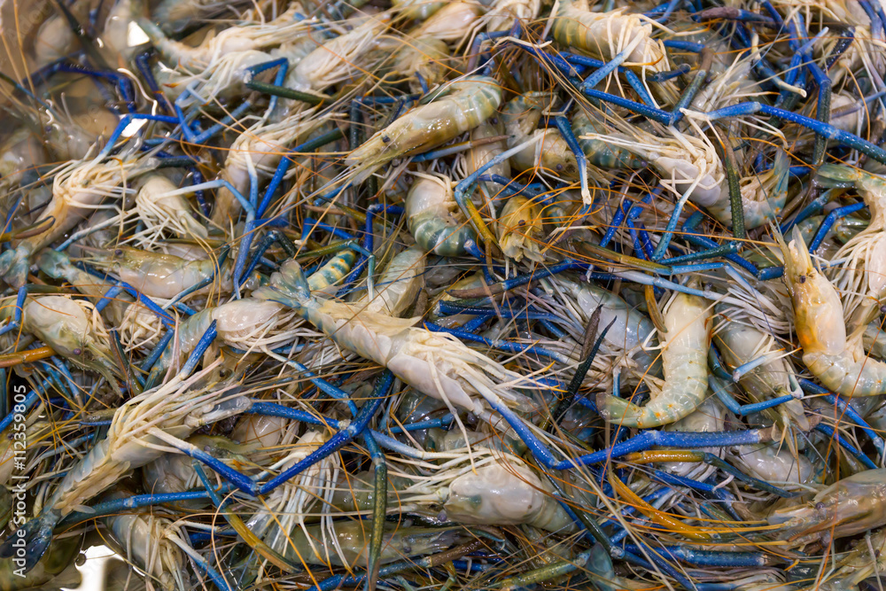 Raw shrimps for sale on the market Raw shrimps for sale on the market