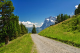 Beautiful idyllic Alps landscape and trail, mountains in summer, Switzerland
