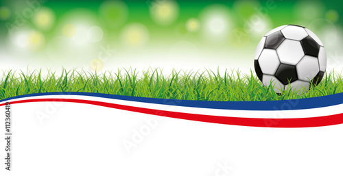 Football Grass Bokeh Header France