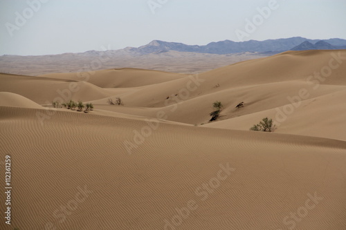 désert du Maranjab, Iran