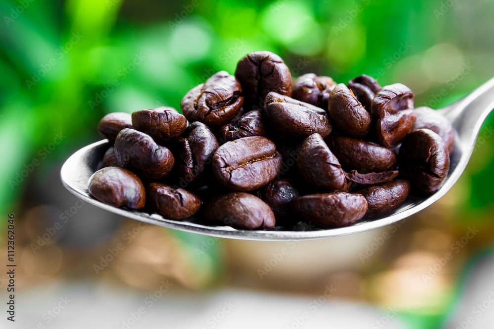 Obraz premium Coffee Bean on the Spoon