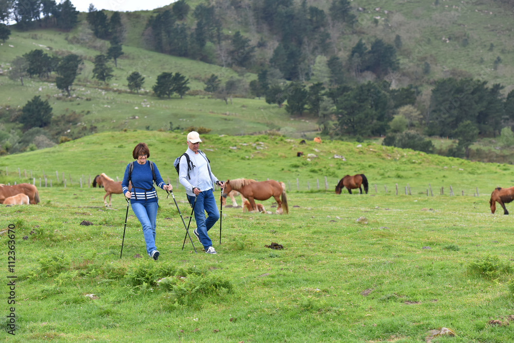 Senior couple walking in mountains in summer