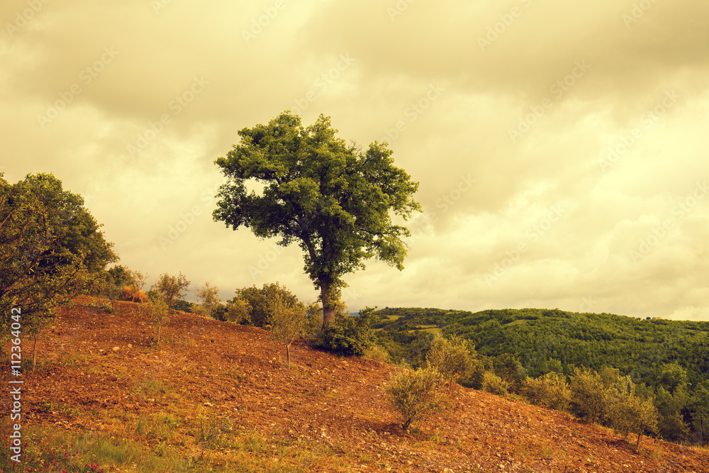 Fototapeta premium Tuscany landscape in rainy weather with dramatic cloudy sky. Val d'Orcia, Italy