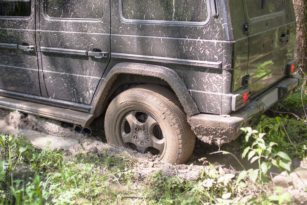 SUV got stuck in the mud in the forest, off-road SUV got stuck in the mud in the forest, off-road