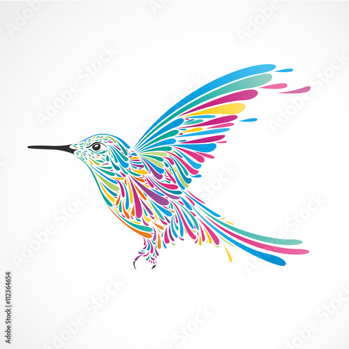 colibri,forme graphique