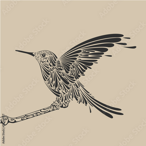 oiseau,colibri design