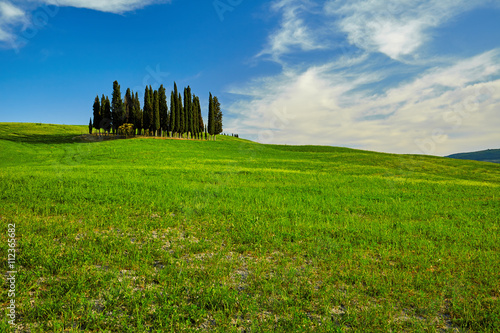 Beautiful view of green fields in Tuscany