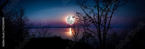 Fototapeta Panorama. Silhouettes of woods and beautiful moonrise.