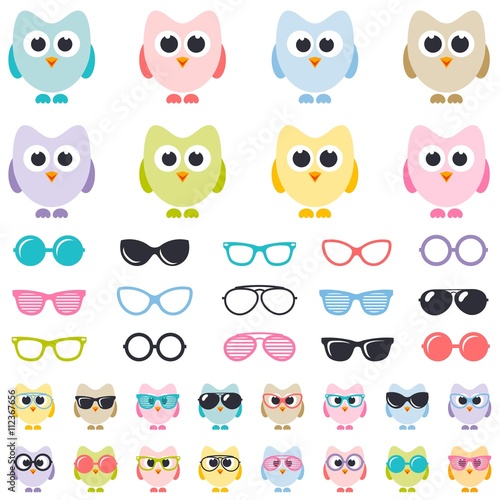 set of colorful owls with sunglasses