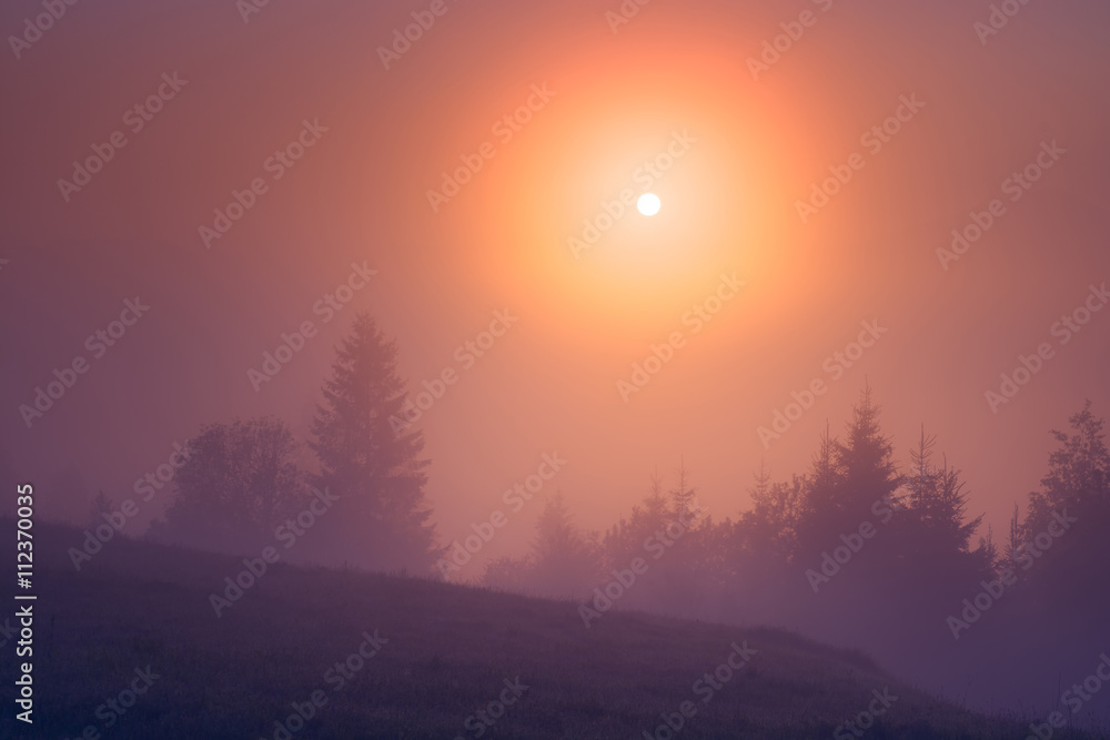 Valley with rising sun in a sky Valley with rising sun in a sky