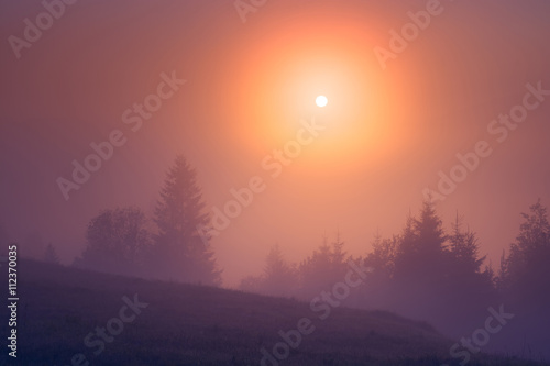 Valley with rising sun in a sky © Bashkatov