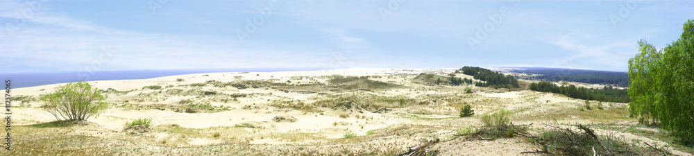 Panorama of the Curonian spit